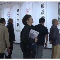 翰墨金秋 桑榆晚霞 衡南县开展第三届老年书画展