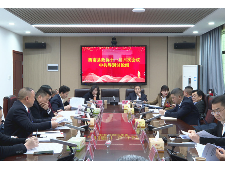 两会进行时 | 县政协委员分组讨论政协两个报告