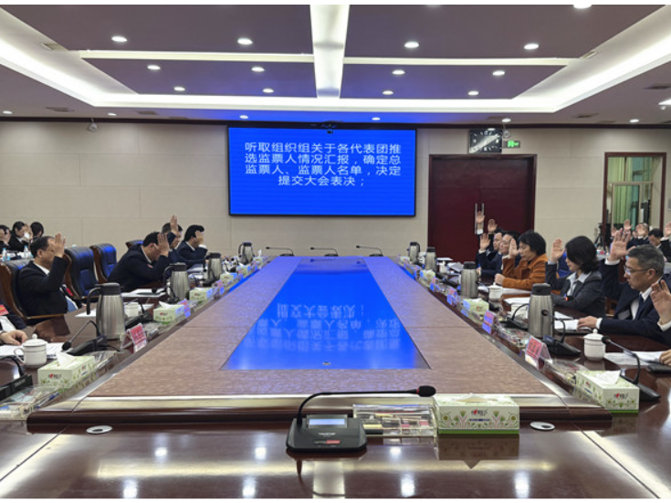 两会进行时丨衡南县十八届人大七次会议主席团召开第三次会议