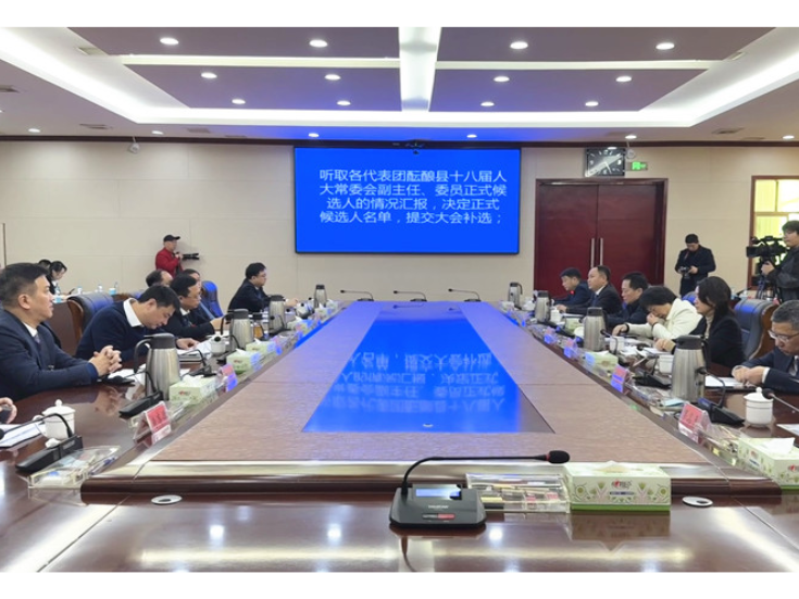 两会进行时丨衡南县十八届人大七次会议主席团召开第四次会议