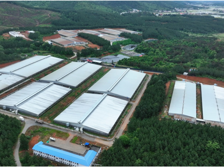 衡南：畜禽养殖污染“精准整治” 守好乡村生态安全线