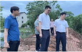 阳旭辉到向阳桥街道督导安全生产工作