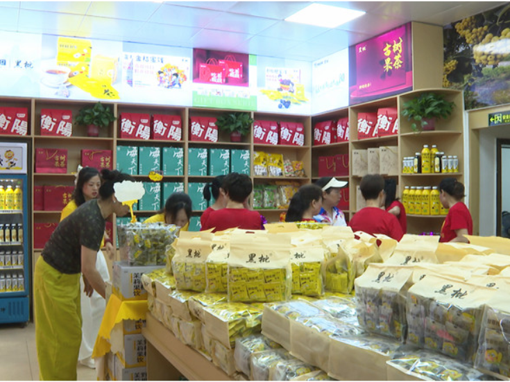 衡南：小枇杷闯出大市场，特色产业发展势头强劲