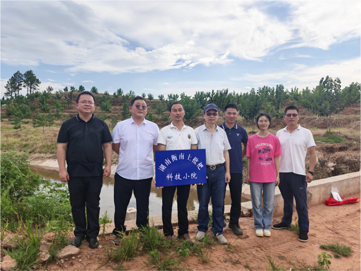 科技赋能促早果 衡南土枇杷基地建园两年见果助振兴