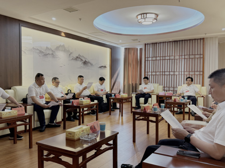 大会进行时丨中国共产党衡南县第十四次代表大会代表资格审查委员会会议召开