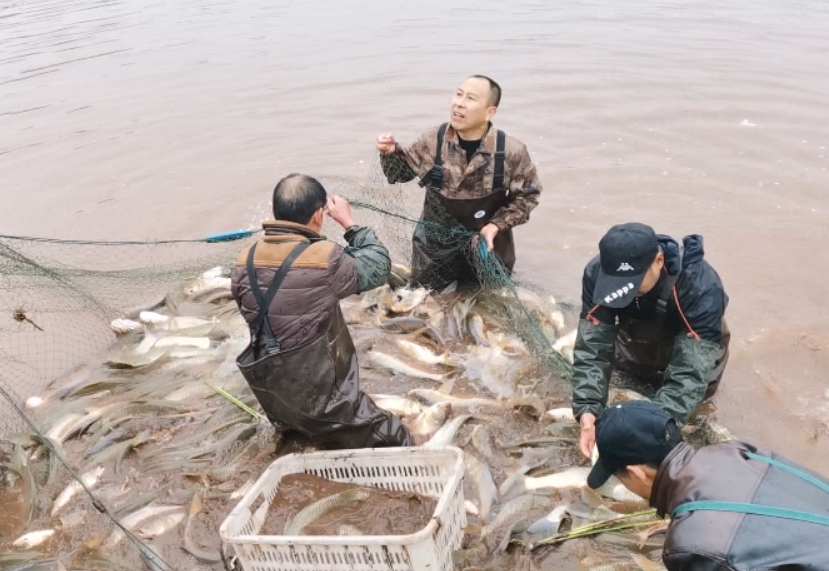 微信截图_20201215093143.png