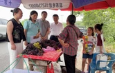 民革衡南工委调研县域直播电商 助力农产品出村