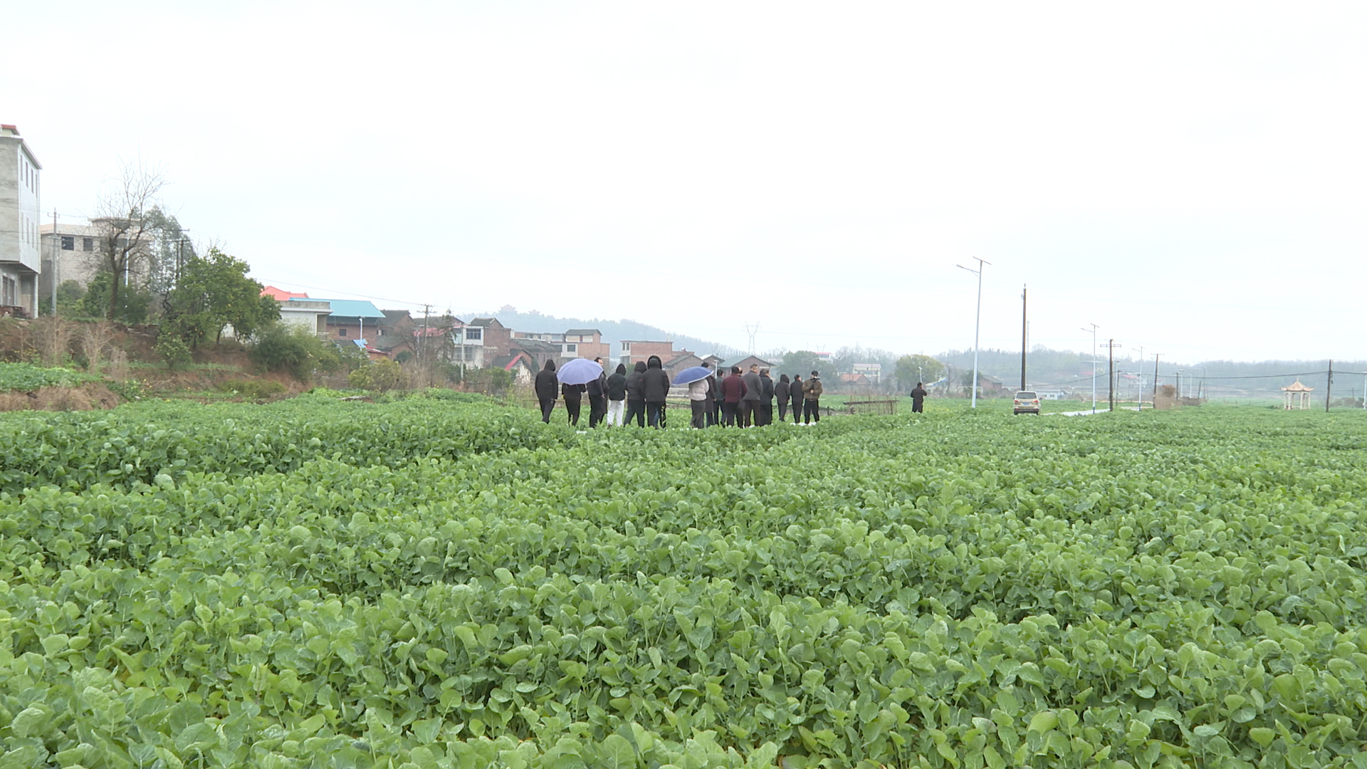 1111QQQQ.jpg 1111QQQQ.jpg