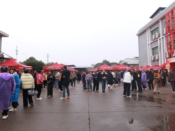 家门口找好工作！衡南“春风行动”招聘会线上线下超2万人参与
