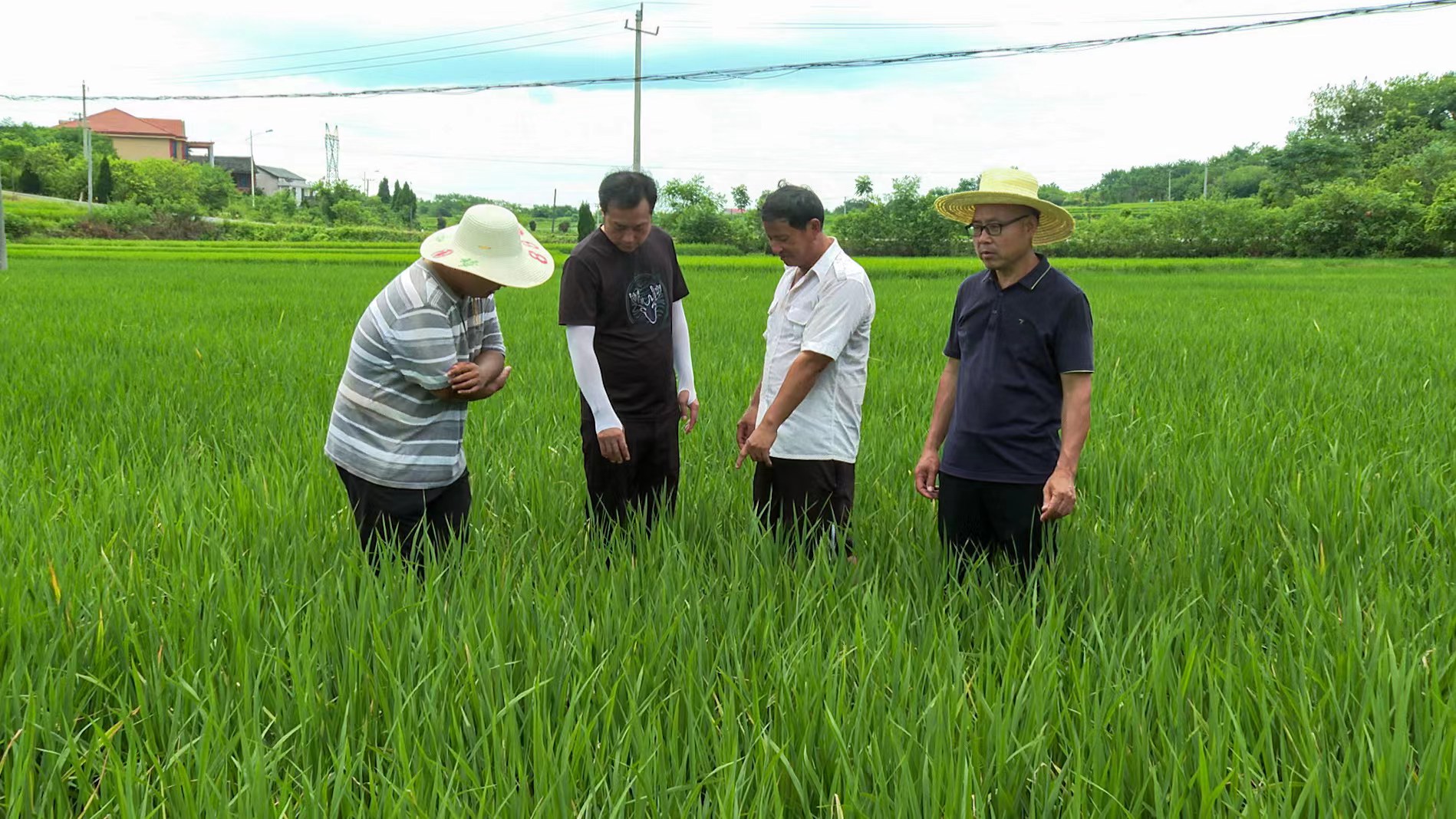 WechatIMG8.jpeg WechatIMG8.jpeg