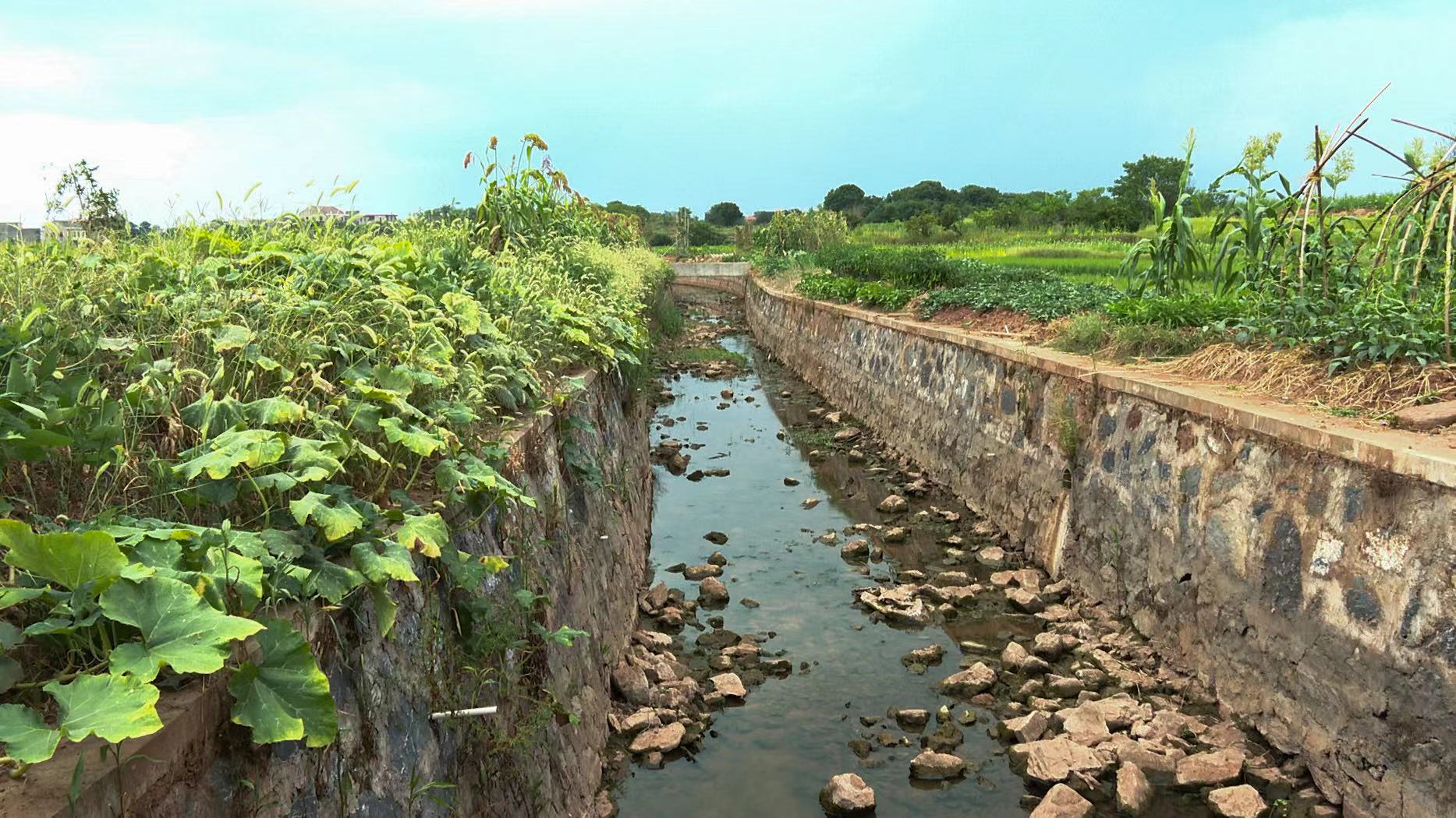 WechatIMG9.jpeg WechatIMG9.jpeg