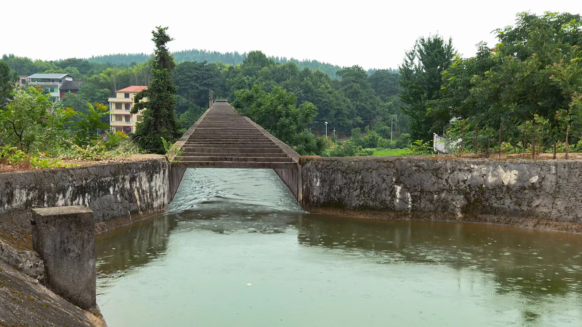 WechatIMG7.jpeg WechatIMG7.jpeg