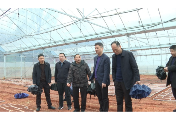 阳旭辉到向阳桥街道督导村（社区）换届选举和春耕生产工作