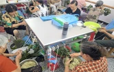 我们的节日·端午｜泉溪镇：粽香迎端午 禁毒润民心