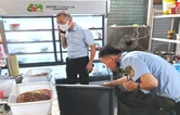 衡南：45名骑手当好食安哨兵报送线索立案9起
