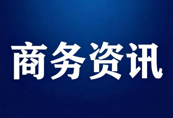 头皮容易痒选什么洗发水？从油性头屑到干性紧绷，四款主流配方横评