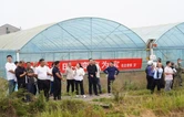 衡南县铁丝塘镇开展秸秆综合利用实操培训交流现场会