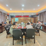 衡南县民政重点工作暨专项整治工作调度会召开