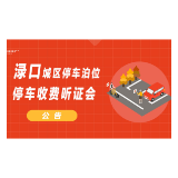 渌口区城区道路临时停车泊位、公共停车场及国家机关、企事业单位停车场停车收费听证会公告（二）