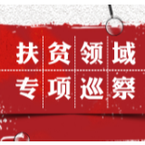 扶贫领域专项巡察公告