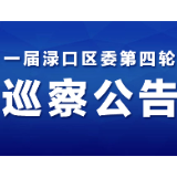 一届渌口区委第四轮巡察公告