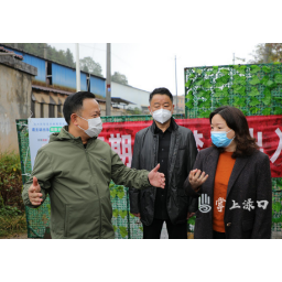 李晓彤再次到渌口镇督导疫情防控守边包村工作