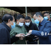 李晓彤调研督导耕地保护恢复、冬修水利工作