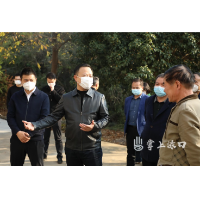 李晓彤：贯彻落实党的二十大精神 统筹抓好乡村振兴各项工作