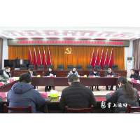 赖晓智参加区委二届三次全会暨区委经济工作会分组讨论