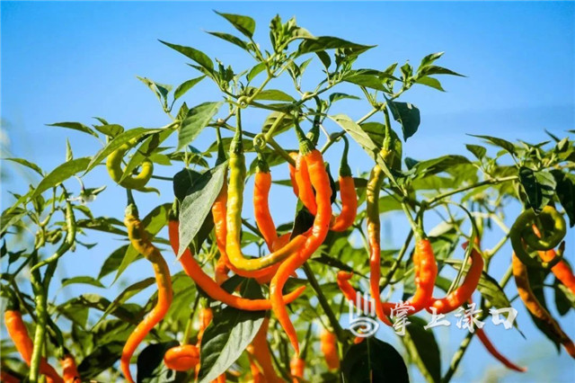 25325e48452a7b03ef67d8f11d20b59.jpg 25325e48452a7b03ef67d8f11d20b59.jpg