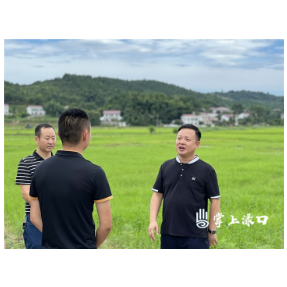 李晓彤到镇村开展“巡田”工作