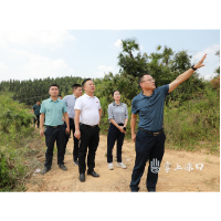 李晓彤到淦田、龙门镇督导森林防火工作