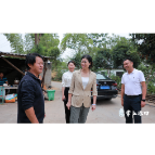 赖晓智到渌口镇督导拆违治违、农村规范建房和松西子社区土地流转工作