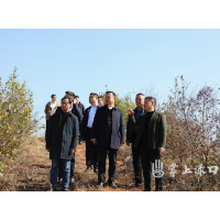 李晓彤到镇村开展小微企业调研和巡林工作并慰问项目攻坚人员