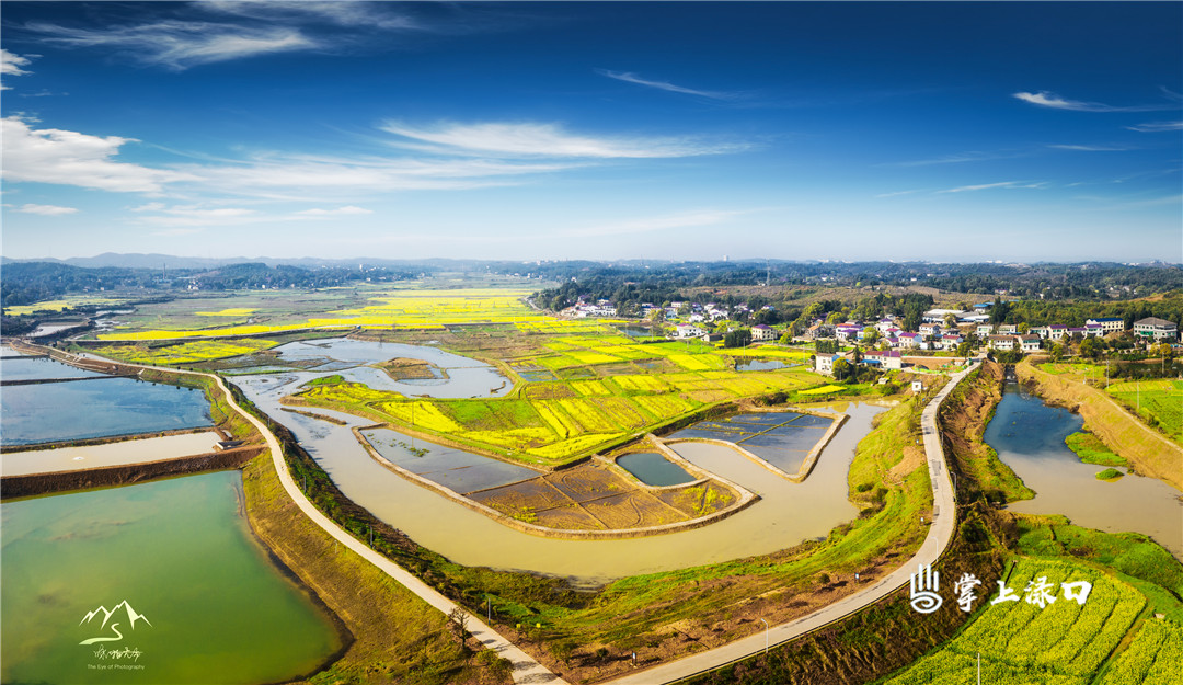 【圖片：詠洲  文字：劉慧】
風，你慢慢地吹,，花兒,，你慢慢地開。