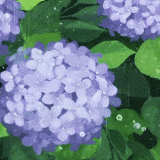 【品诗】一溪烟柳清风绕  万里桐花高凤鸣（上）