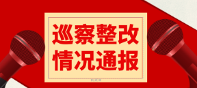 株洲市渌口区人民医院党委关于巡察整改情况的通报