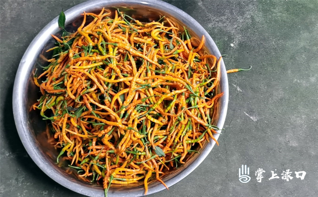 【图文：文美升】
河包的黄辣椒种植规模较大，广受城市居民的欢迎，远销全国各地。