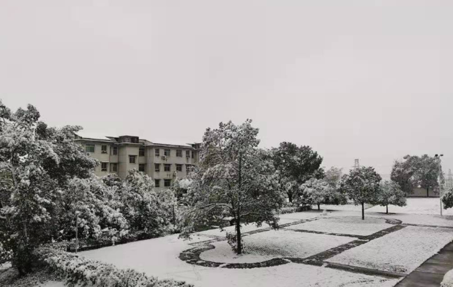 瑞雪降临，带您领略三中“雪”校美景