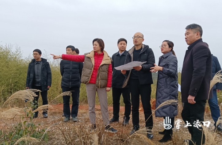 赖晓智到淦田镇大唐华银项目调研指导工作