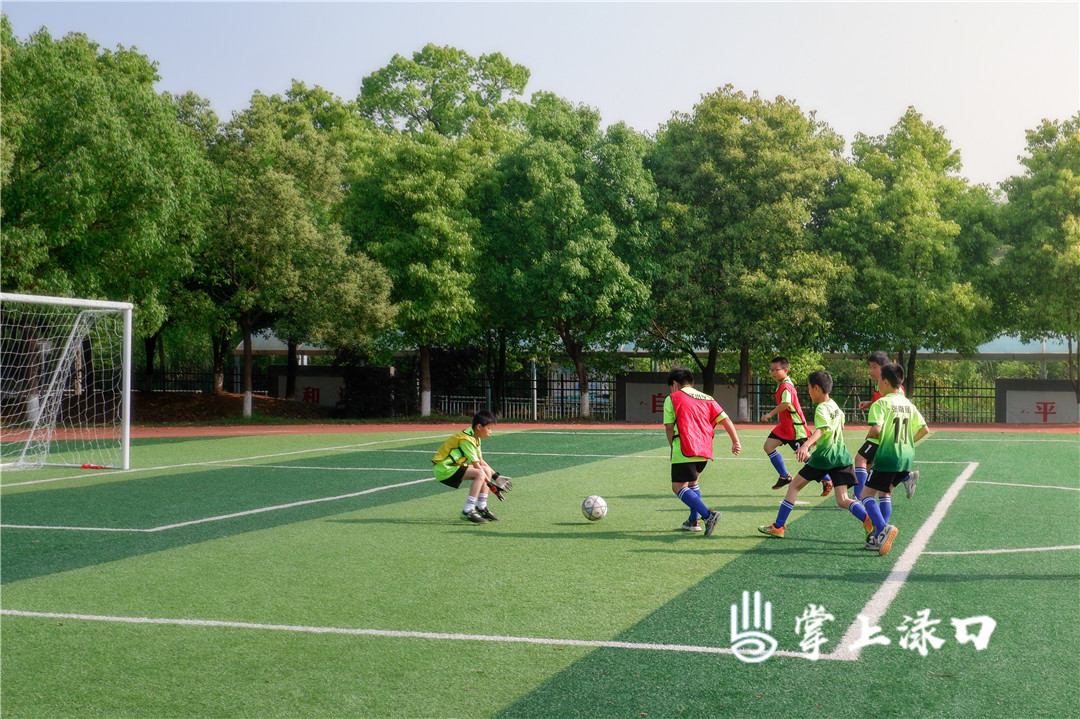 【图：谢伊  文：刘慧】
足球小将们在赛场尽情奔跑，一次次将足球射向球门。