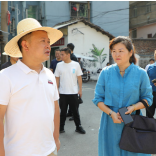 李晓彤督导自建房安全专项整治、拆违保安专项行动工作