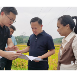 李晓彤到乡镇调研近期重点工作
