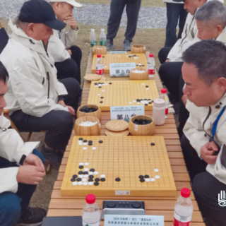 棋聚渌口,巅峰对弈!2024年株洲·渌口“蓬源仙杯”围棋邀请赛暨长株潭弈星围棋公开赛开赛!