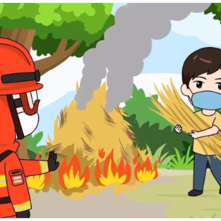 2024年森林禁火令（第1号）