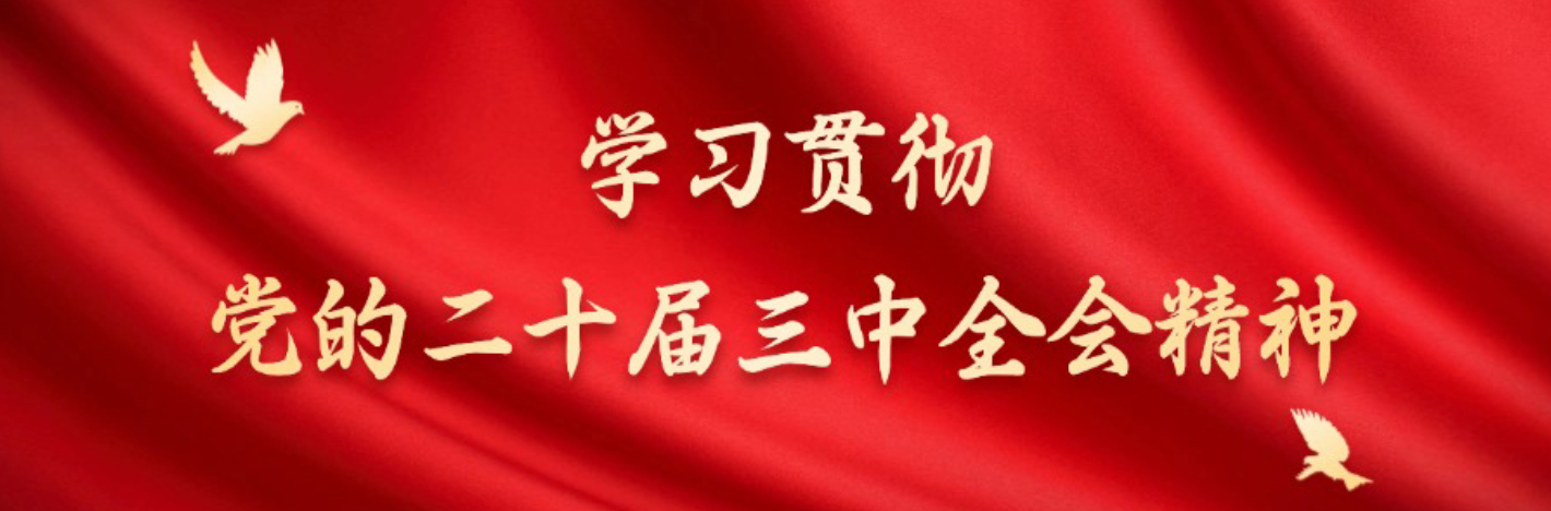 学习贯彻党的二十届三中全会精神