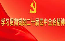 党的二十届四中全会