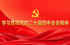 学习贯彻党的二十届四中全会精神