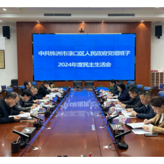 区政府党组召开2024年度民主生活会