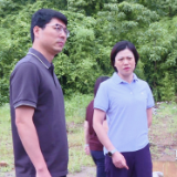 赖晓智带队调度防汛及端午龙舟邀请赛筹备工作